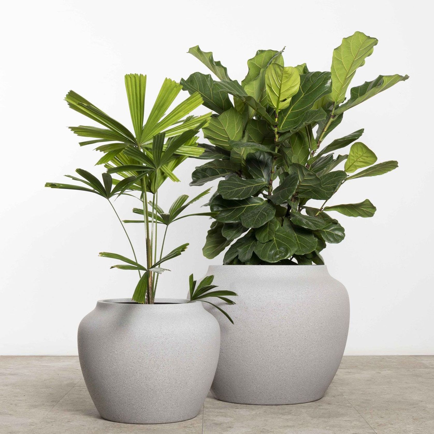 Corsica Urn gallery detail image