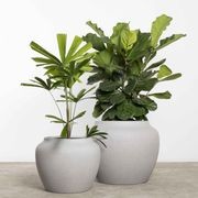 Corsica Urn gallery detail image