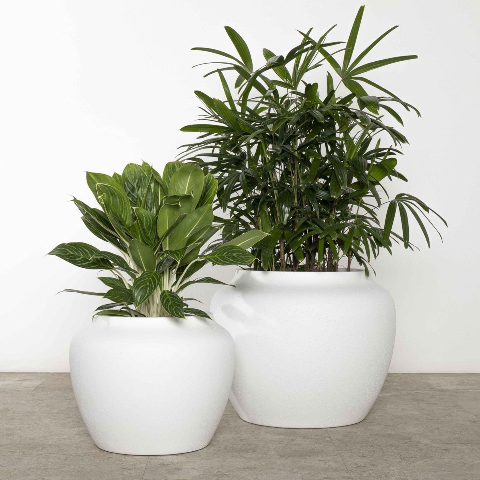 Corsica Urn gallery detail image