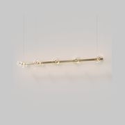 Coral Linear Bar Pendant - Clear Glass gallery detail image