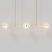 Coral Linear Rod Pendant (Six Coral Pieces) gallery detail image