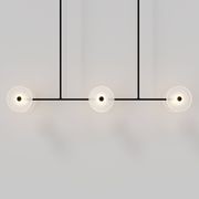 Coral Linear Rod Pendant (Six Coral Pieces) gallery detail image