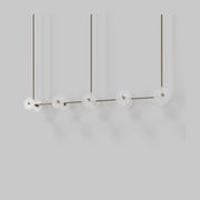 Coral Linear Rod Pendant (Ten Coral Pieces) gallery detail image