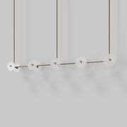 Coral Linear Rod Pendant (Ten Coral Pieces) gallery detail image