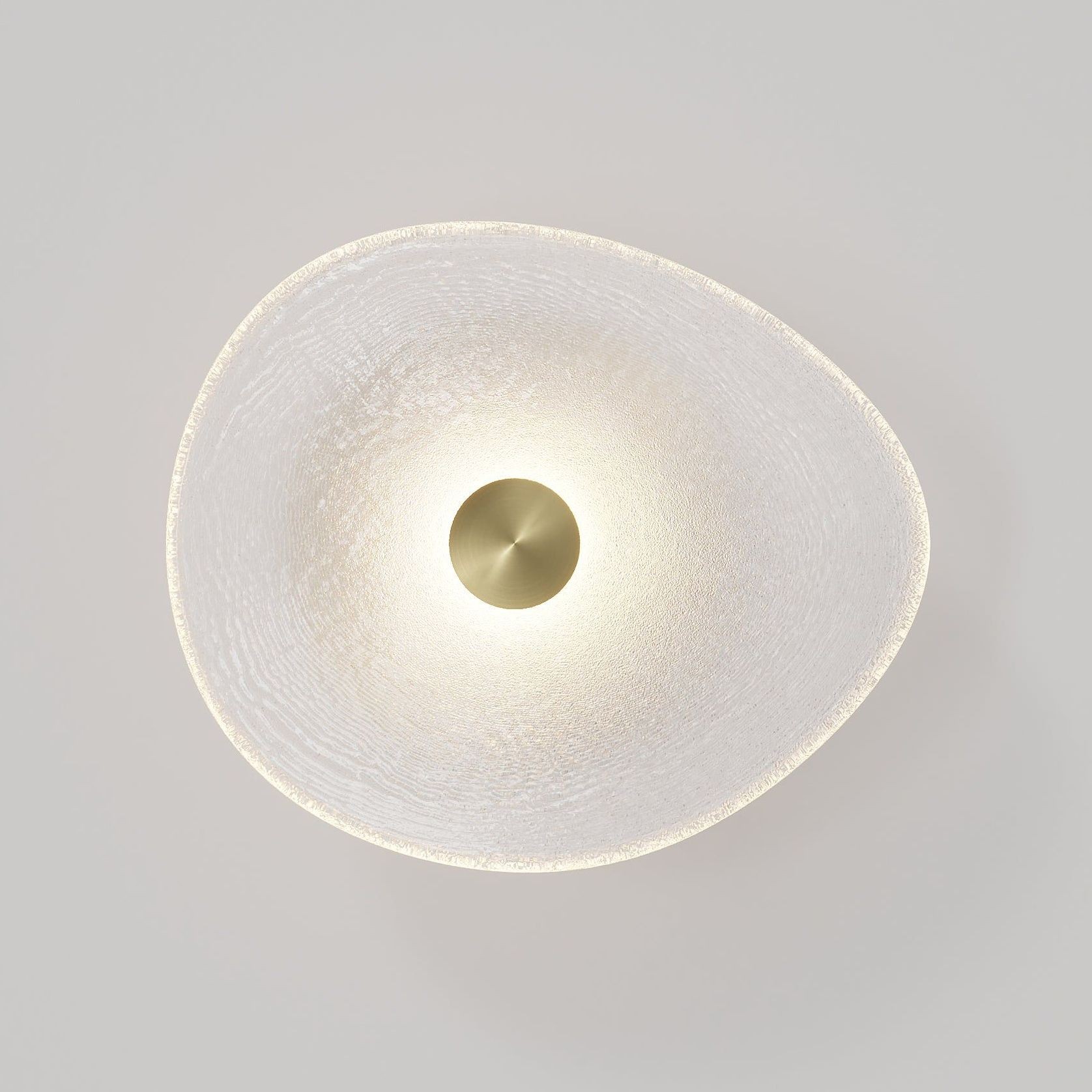Coral Organic Wall Light gallery detail image