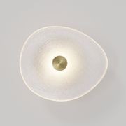 Coral Organic Wall Light gallery detail image