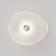 Coral Organic Wall Light gallery detail image