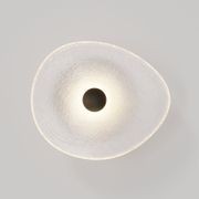 Coral Organic Wall Light gallery detail image