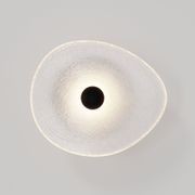 Coral Organic Wall Light gallery detail image