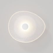 Coral Organic Wall Light gallery detail image