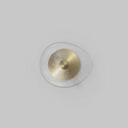 Coral Organic Wall Light gallery detail image
