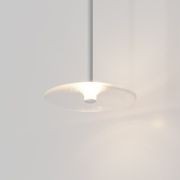 Coral Single Pendant - Clear Glass gallery detail image