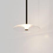 Coral Single Pendant - Clear Glass gallery detail image