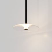 Coral Single Pendant - Clear Glass gallery detail image