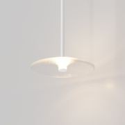 Coral Single Pendant - Clear Glass gallery detail image