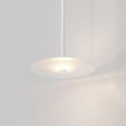 Coral Single Pendant - Frosted Glass gallery detail image