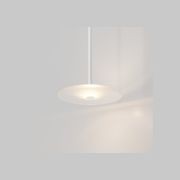 Coral Single Pendant - Frosted Glass gallery detail image