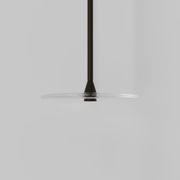 Coral Single Pendant - Clear Glass gallery detail image
