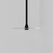 Coral Single Pendant - Clear Glass gallery detail image
