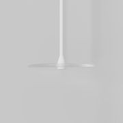 Coral Single Pendant - Clear Glass gallery detail image