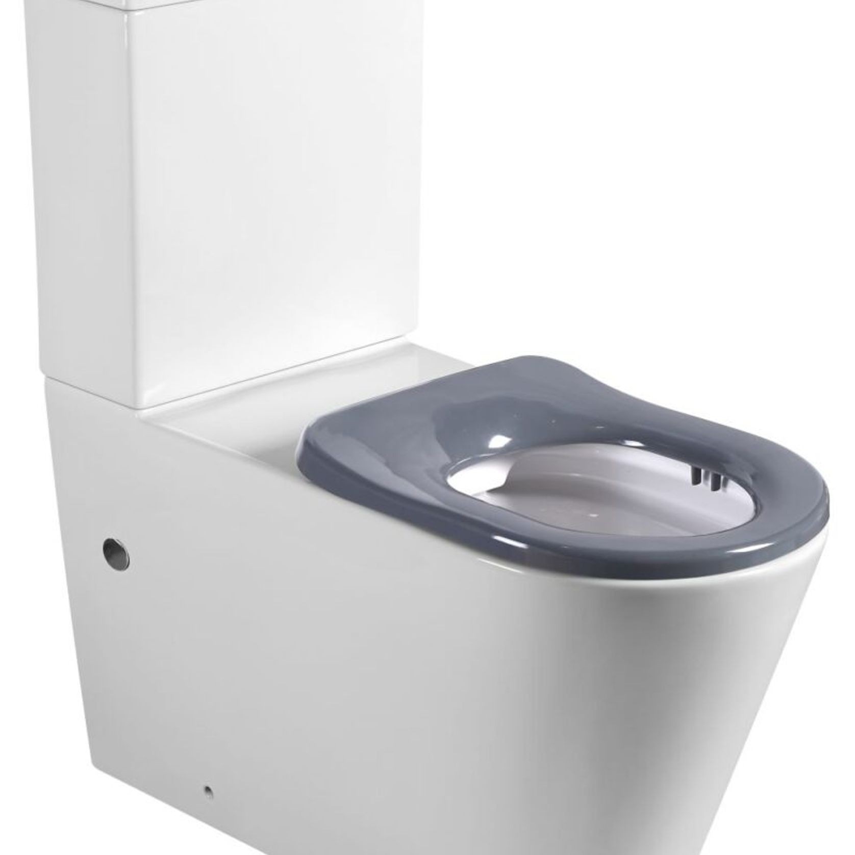 Cara Care Back To Wall Rimless Toilet Suite gallery detail image