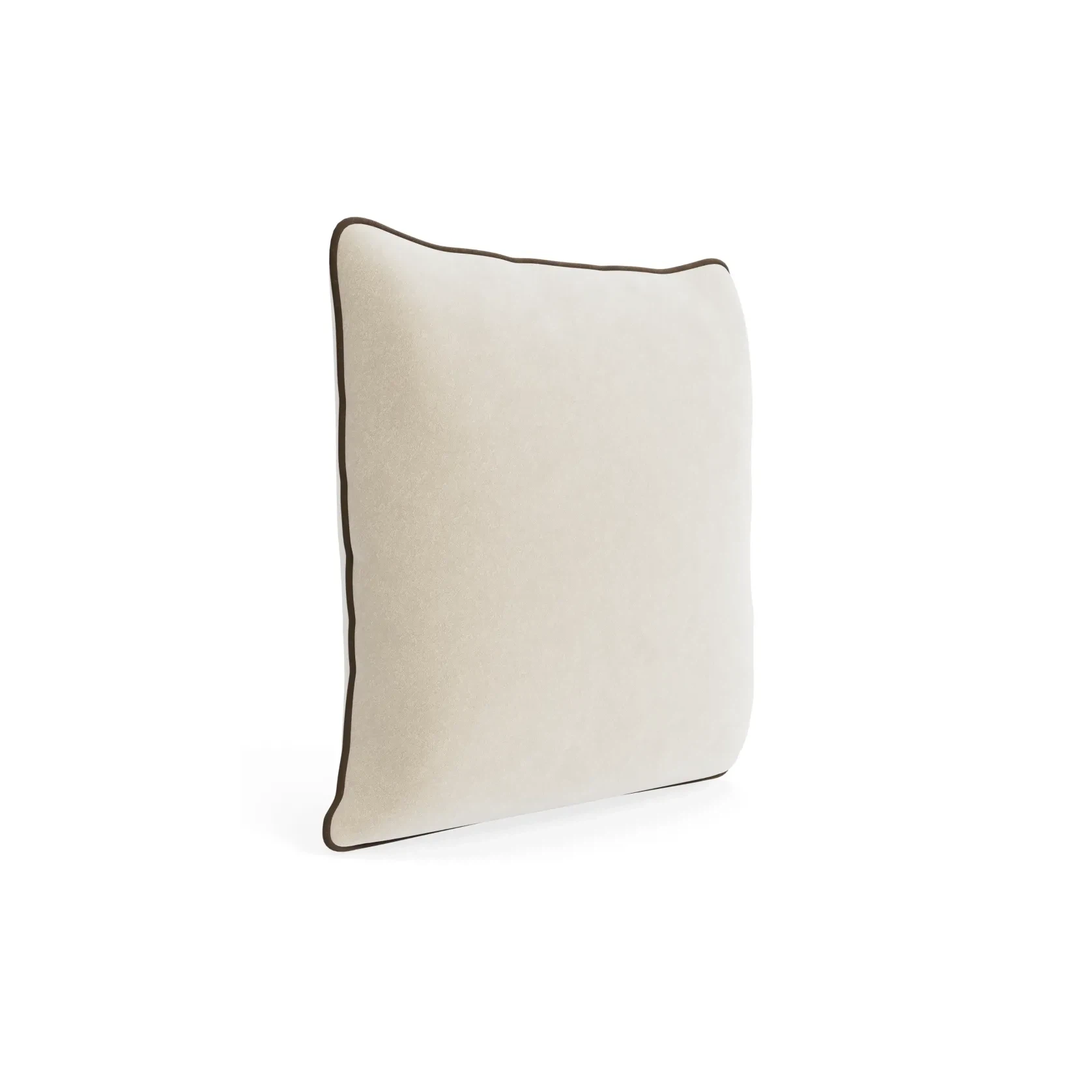 Border Cushion 55cm x 55cm - Eden Ecru / Eden Java gallery detail image