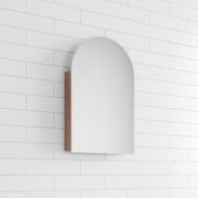 Little Luna Arch Bathroom Cabinet Mirror - Non Recessed gallery detail image