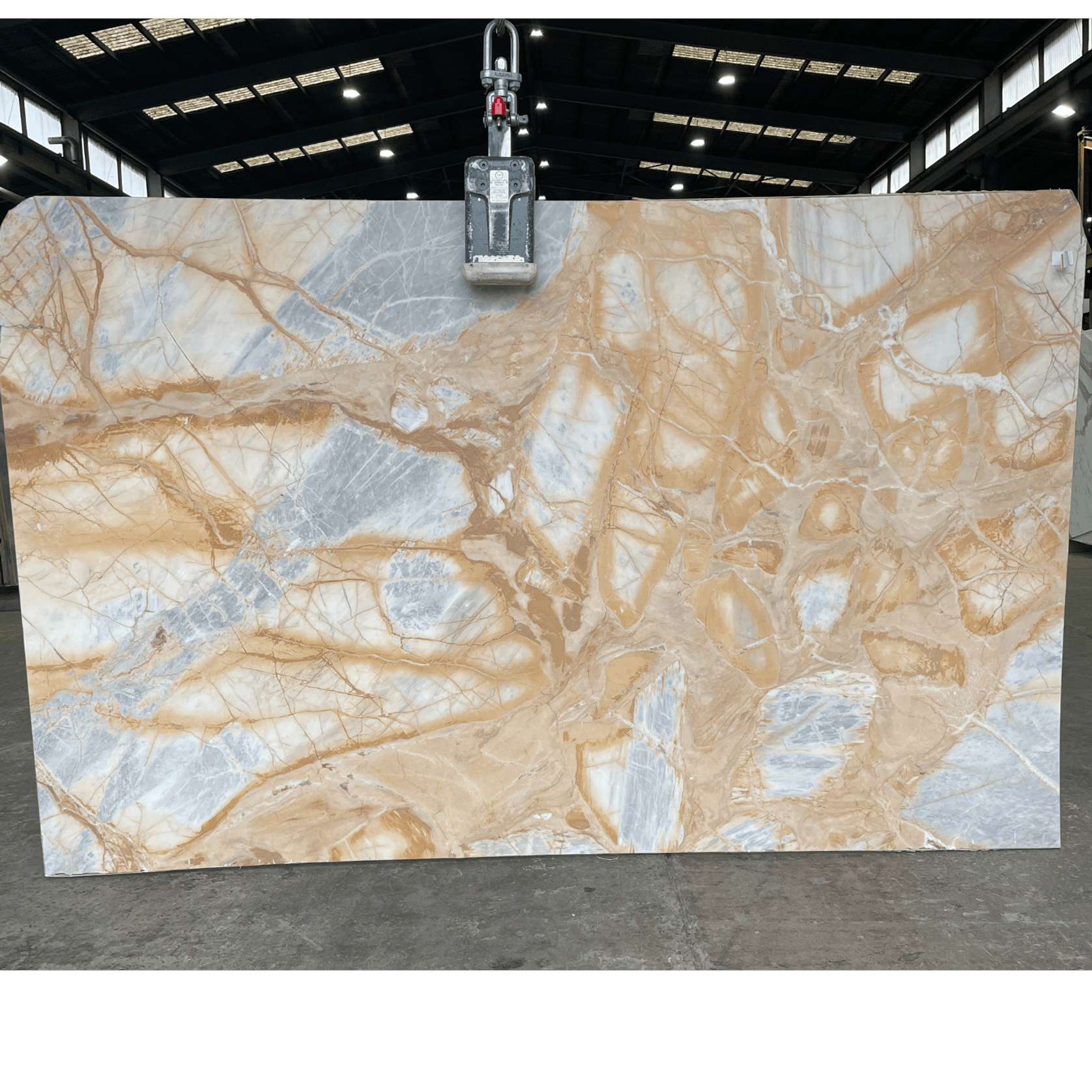 Calacatta Ambre | Calacatta Collection | Honed gallery detail image