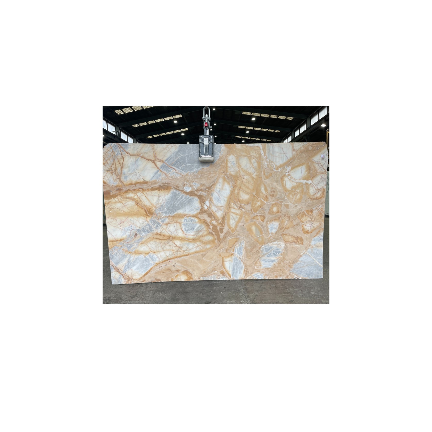 Calacatta Ambre | Calacatta Collection | Honed gallery detail image
