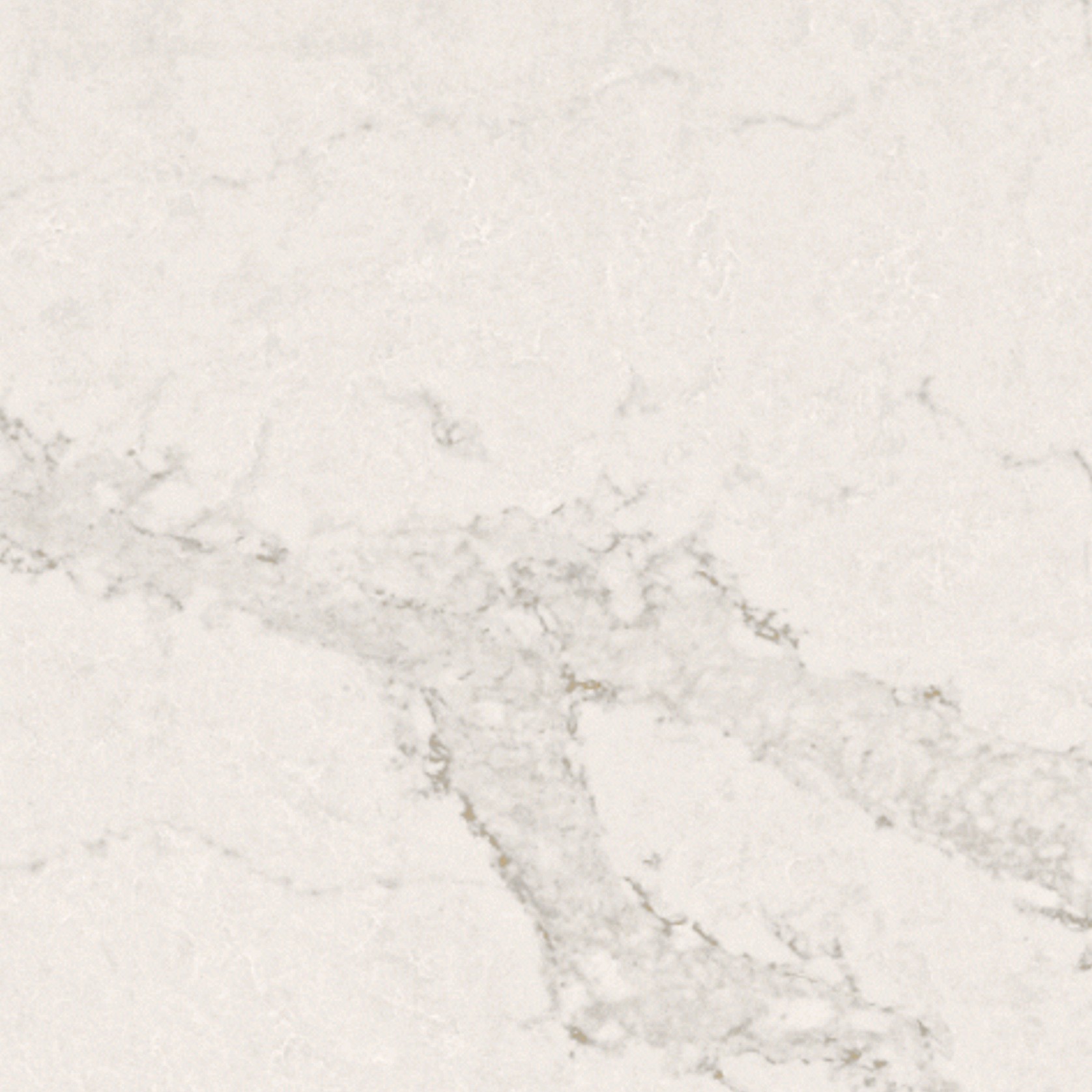Calacatta Nuvo gallery detail image