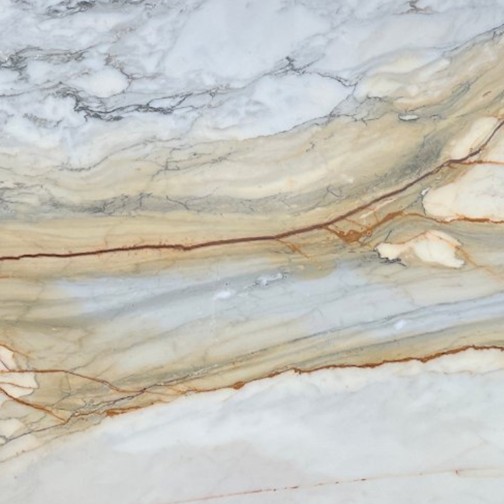 Calacatta Oro Grigio | Calacatta Collection | Honed gallery detail image