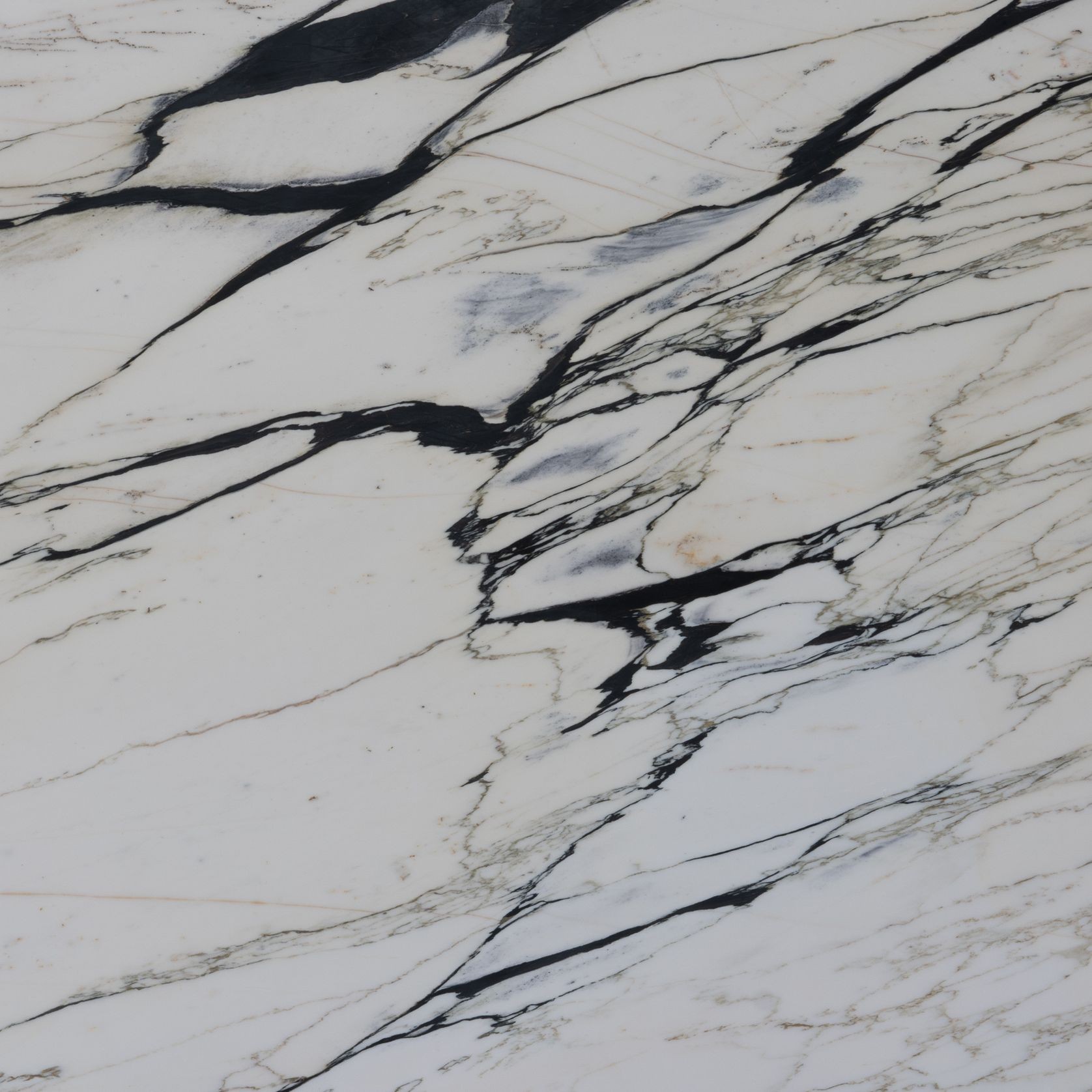 Calacatta Paonazzo gallery detail image
