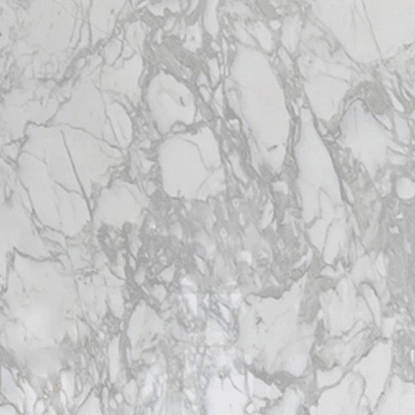 Calacatta Sponda gallery detail image