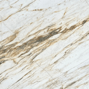 Calacatta Vagli Oro | Calacatta Collection | Honed gallery detail image