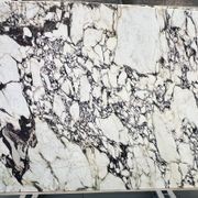 Calacatta Viola Extra | Calacatta Collection | Honed gallery detail image