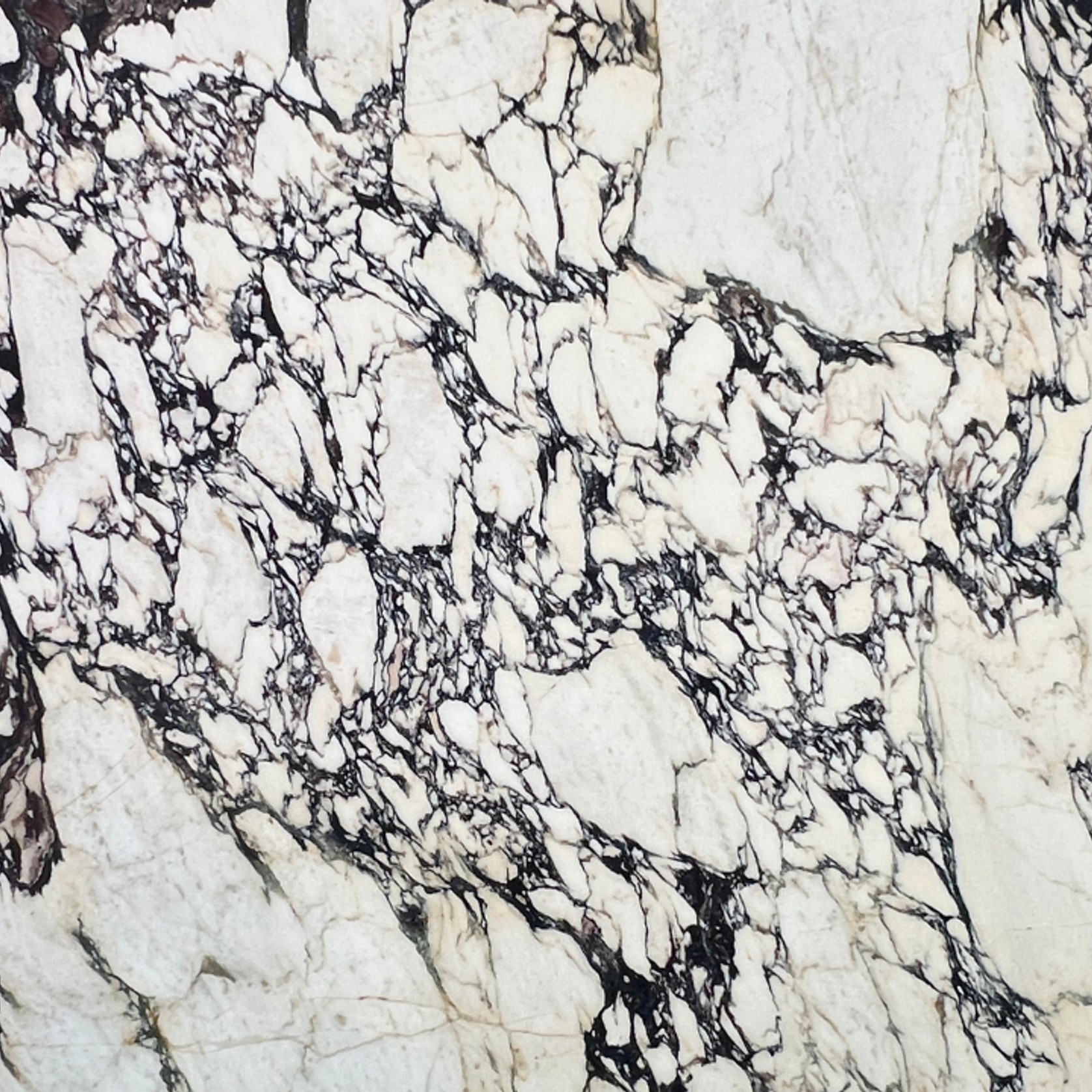 Calacatta Viola Extra | Calacatta Collection | Honed gallery detail image