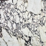 Calacatta Viola Extra | Calacatta Collection | Honed gallery detail image