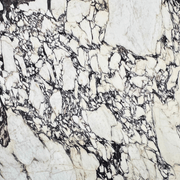 Calacatta Viola Extra | Calacatta Collection | Honed gallery detail image