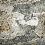California Gold (Translucent) Natural Thin Stone Veneers gallery detail image
