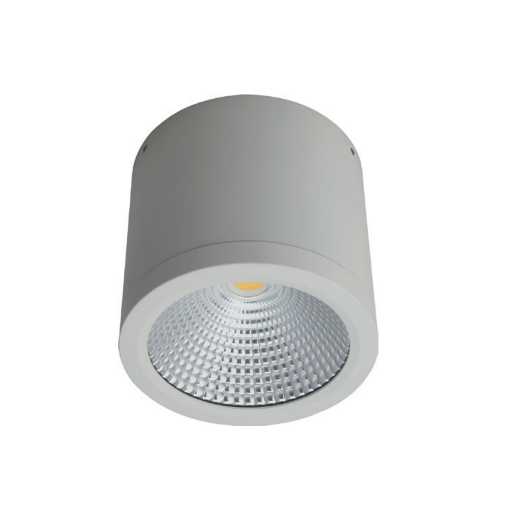 LED Surface Mounted Can Light 25W gallery detail image