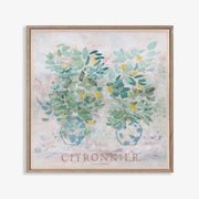Citronnier - Limited Edition Print gallery detail image
