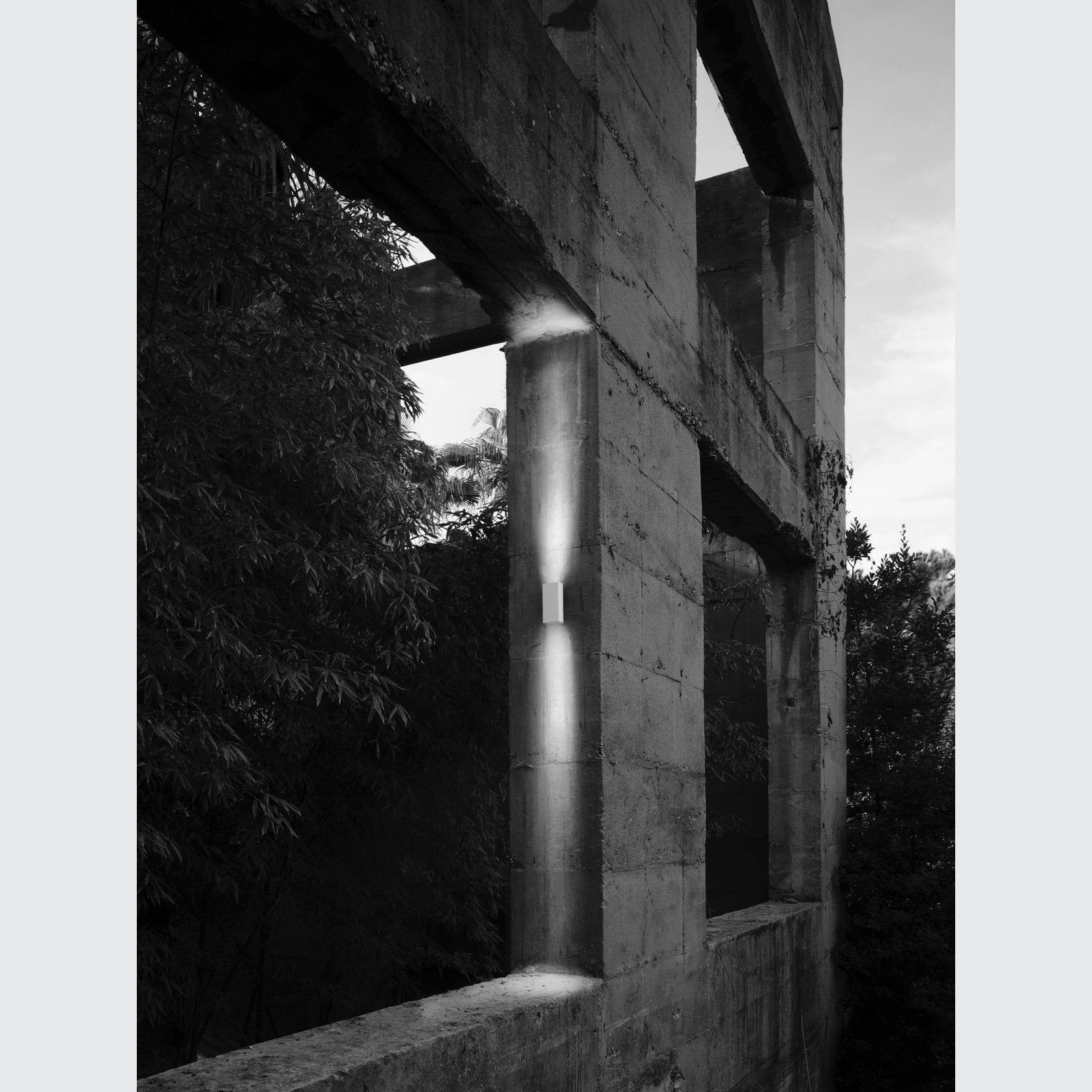 Climber gallery detail image