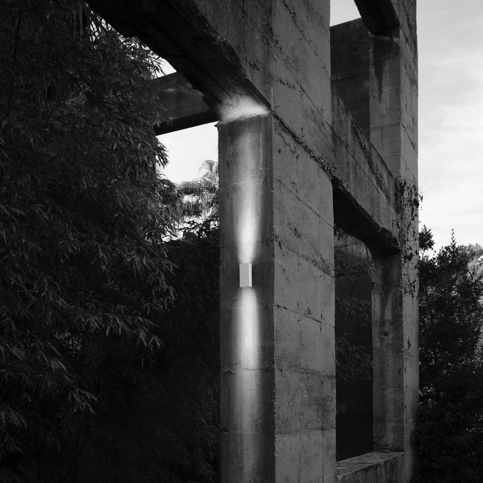 Climber gallery detail image