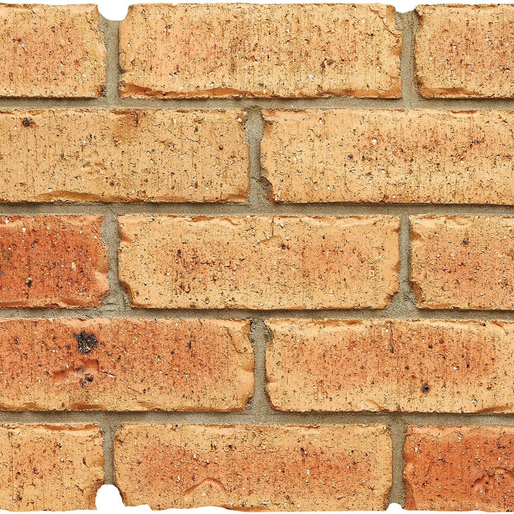 Coach House Cream - Artisan Range | Austral Bricks gallery detail image