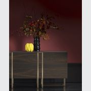 Cage gallery detail image