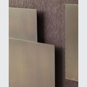 Evo-Mod gallery detail image