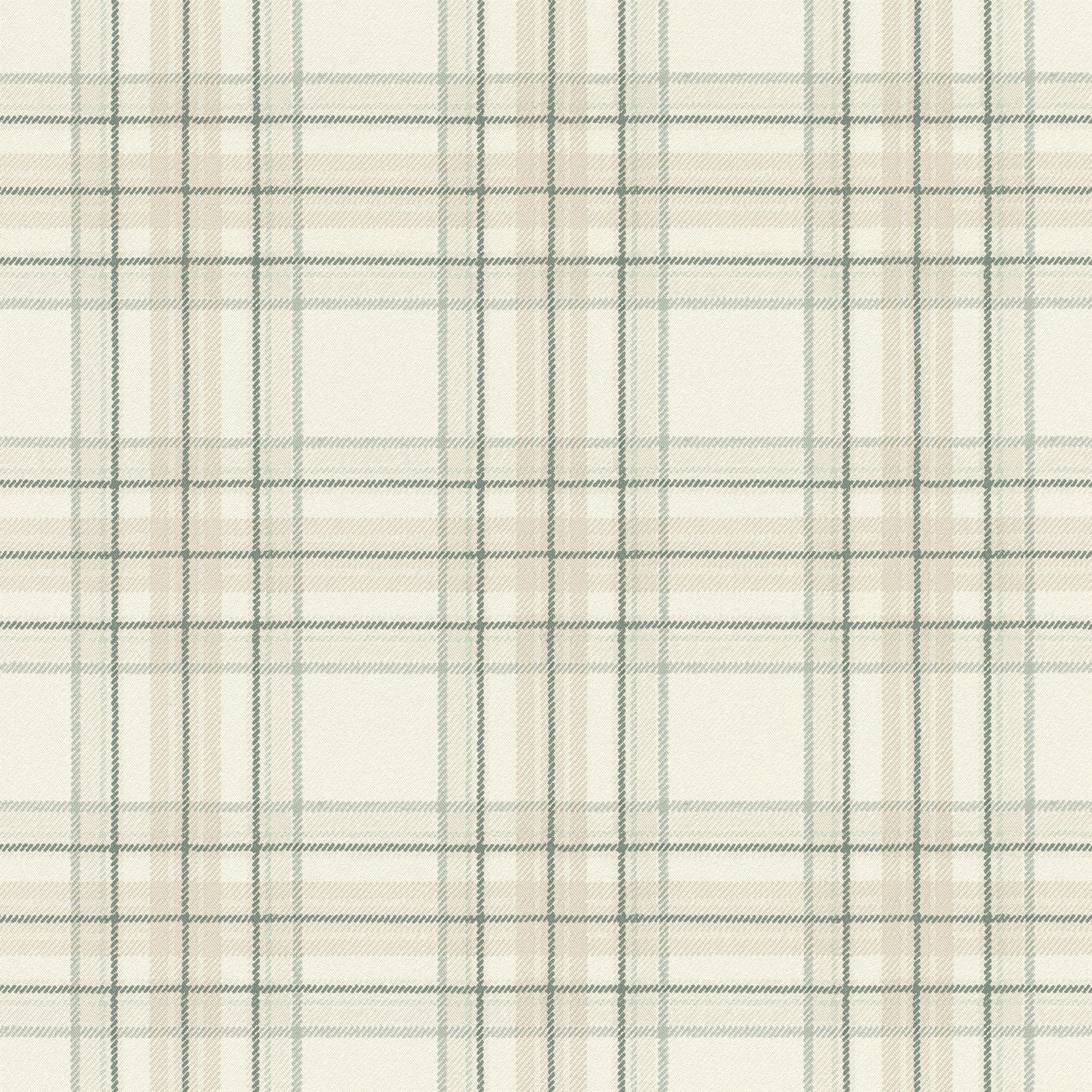 Curiosity Wallpaper (No. 537437) gallery detail image