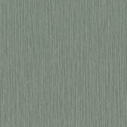 Curiosity Wallpaper (No. 537666) gallery detail image