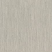 Curiosity Wallpaper (No. 537680) gallery detail image