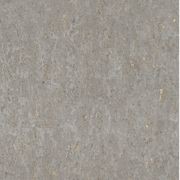 Curiosity Wallpaper (No. 538342) gallery detail image